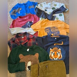 Tea collections bundle